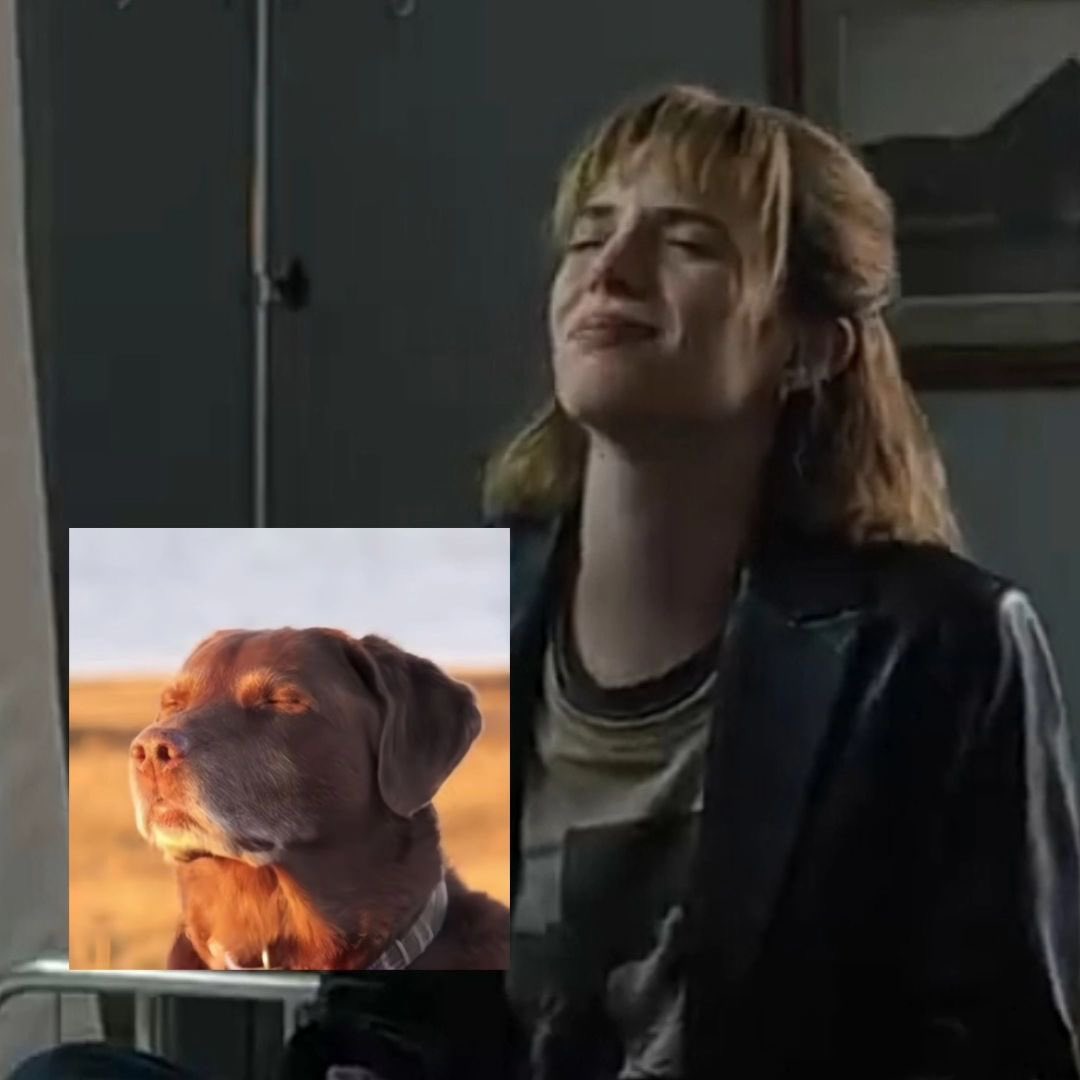 may! 🦦 tweet media