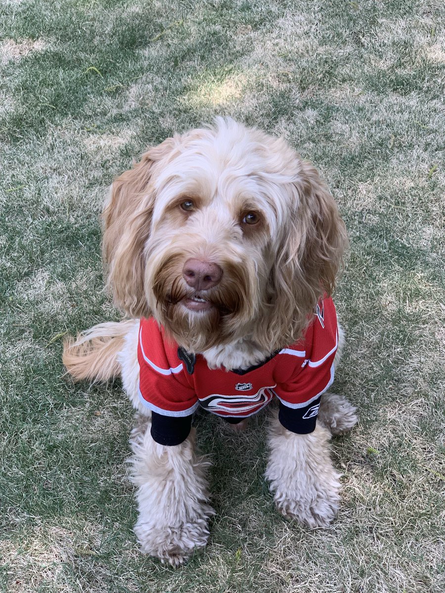 TrippTracy tweet media