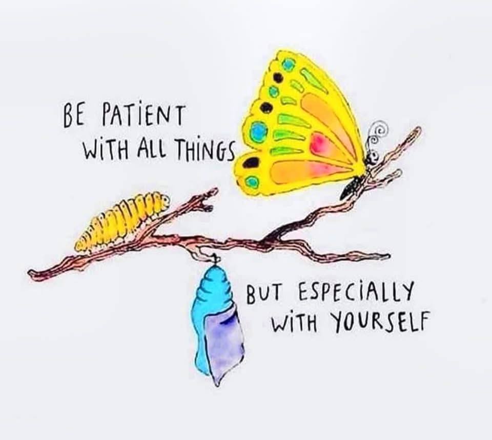 Inspiration & More tweet media