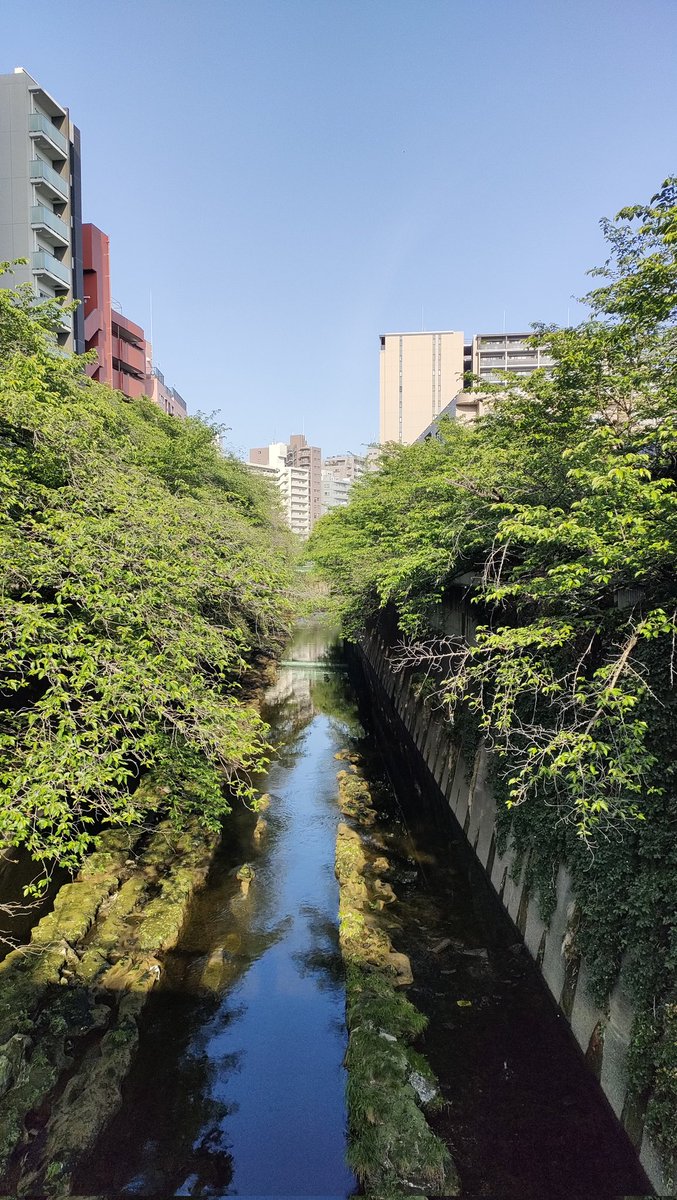 25th【スタジオイブキ】モーションキャプチャースタジオ tweet media