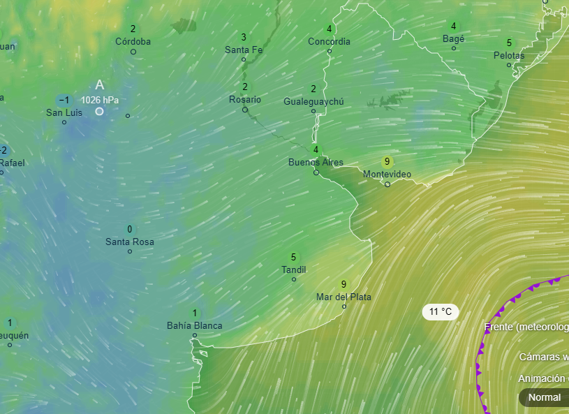El Oráculo de Trenque Lauquen tweet media