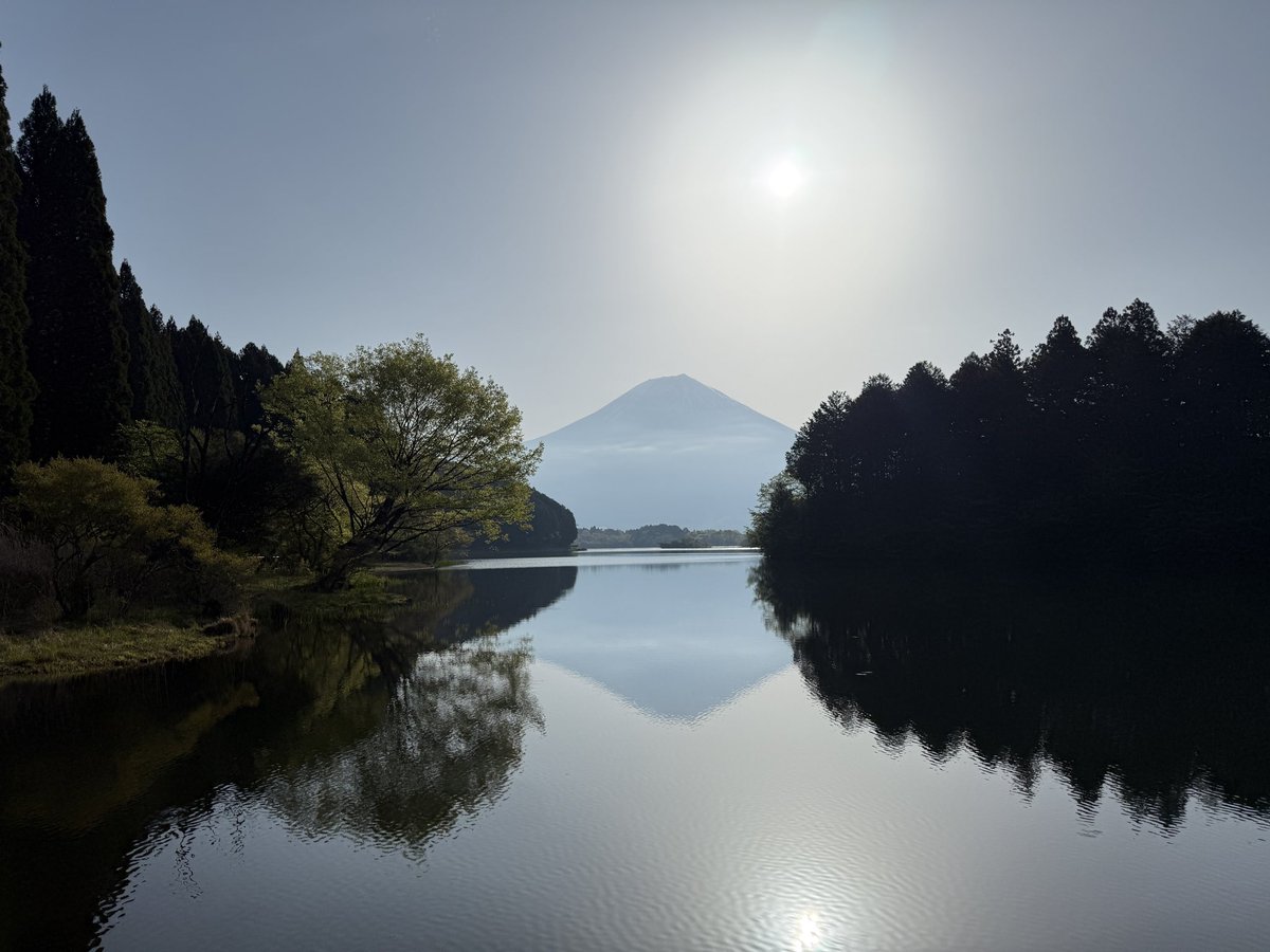 tossy@火と土のトレーダー tweet media