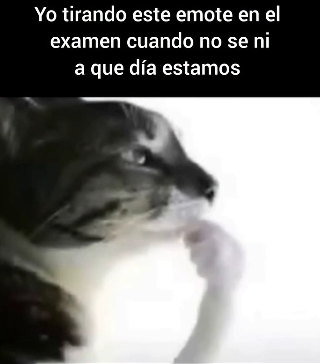 PlatanoSans's tweet photo. https://t.co/TlAVyhepnx