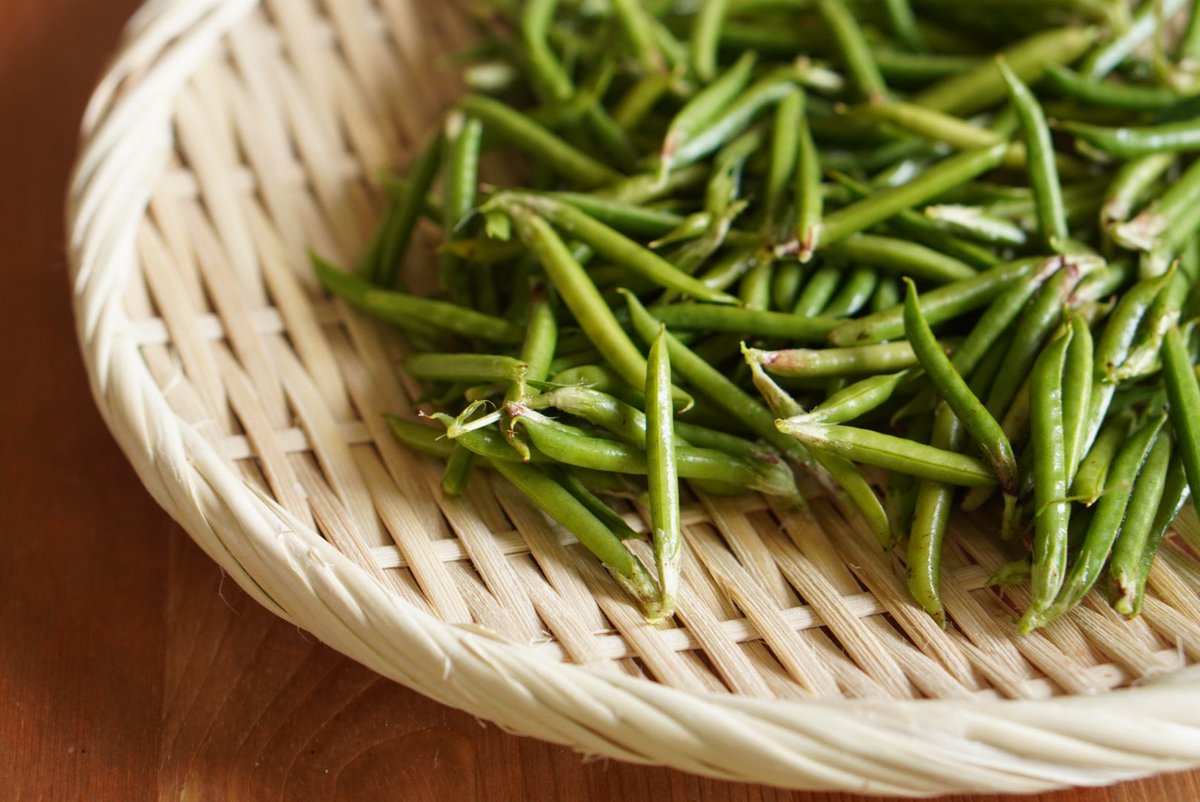 Michikusa「道草を食む-雑草をおいしく食べる実験室-」発売中 tweet media