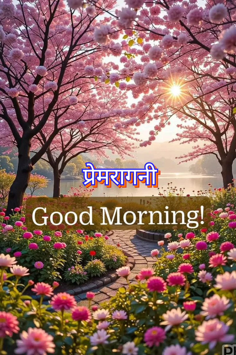 🩷Jagruti🩷(⁠｡⁠♡⁠‿⁠♡⁠｡⁠)❤️प्रेमरागनी❤️ tweet media