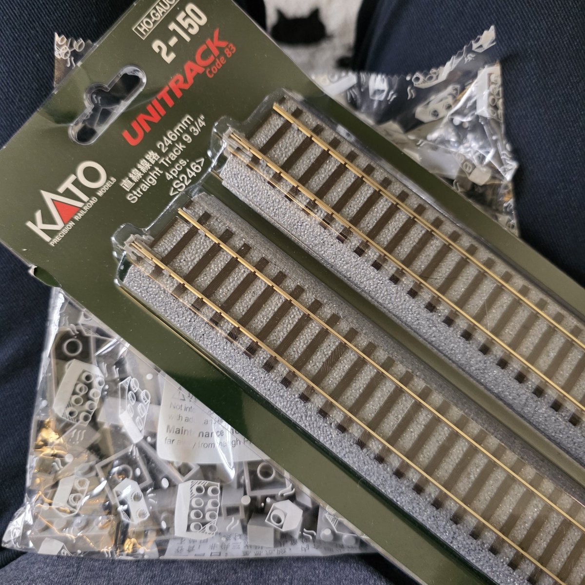 bricksntrains's tweet image. Thats it?! But what if I want Wings?!   Definitely not Train Season for me but I still have to add train stuff to my orders #modelrailroad #addicted 
 This time of year we like to ride Rail Trails and cool places where #ebikes are allowed. We love it Beautiful 😍