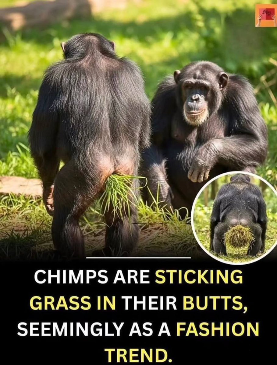 Justice ☯ tweet media