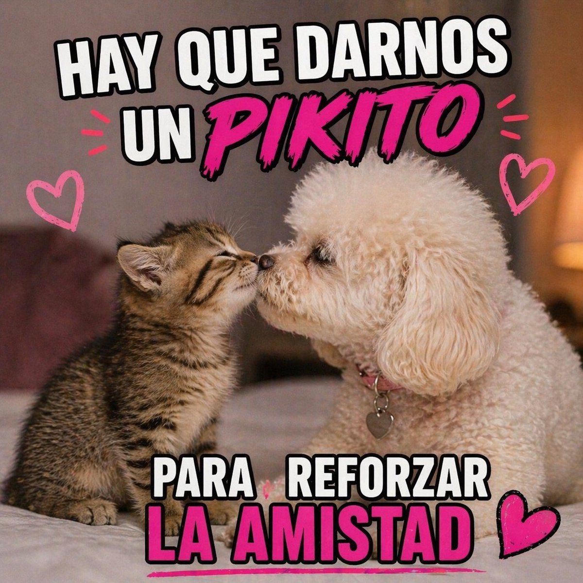 Ariana_17 tweet media