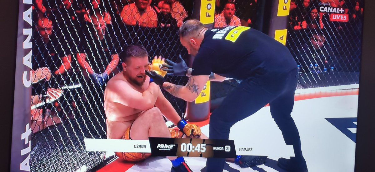 coolfonpl 🇵🇱 tweet media