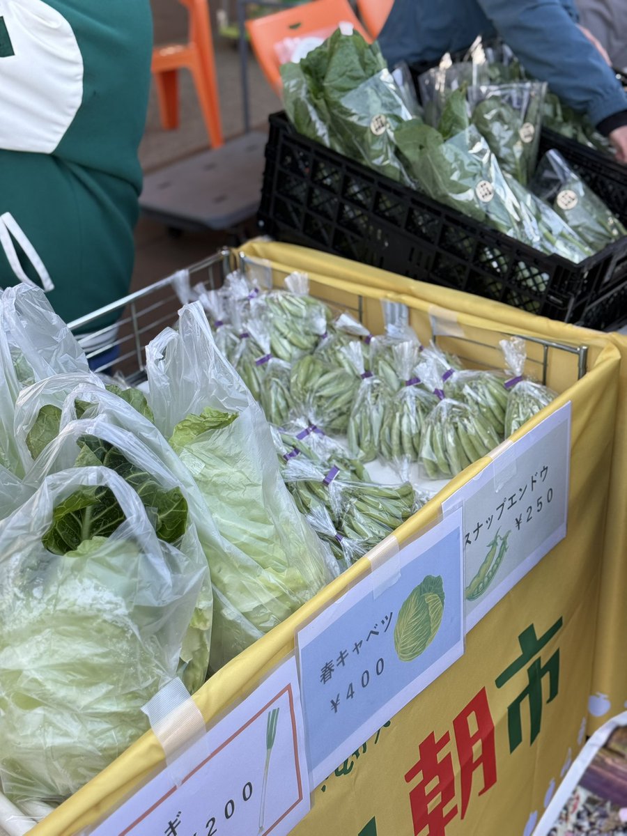 おはようございます✨️

くにみ朝市始まりました🙌🥬

大勢のお客さまにご来場頂いています✨️✨️

〜9時まで開催しております🙇‍

 #くにみ朝市
 #ふくしまDC