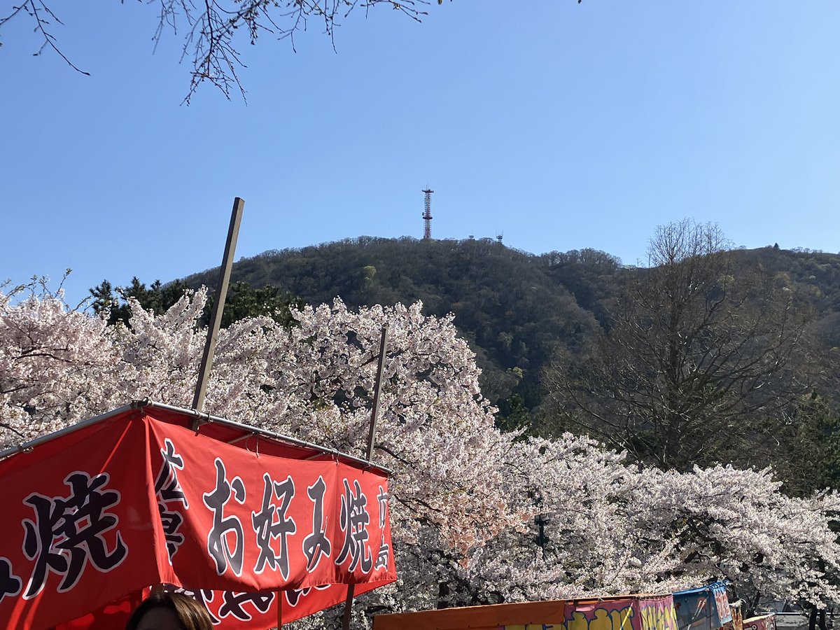 函館鮮士イカダベッサー（公式） tweet media