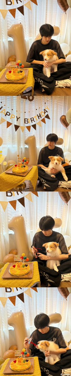 Giuseppe tweet media