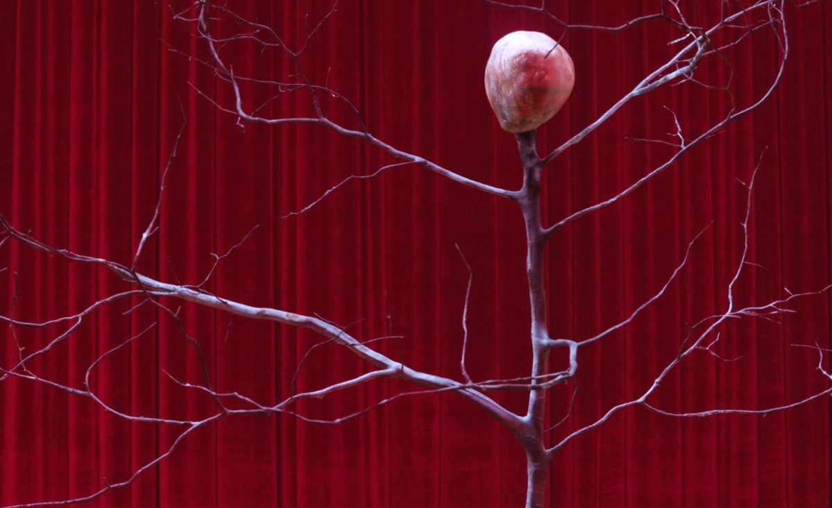 Dr. Hawk tweet media