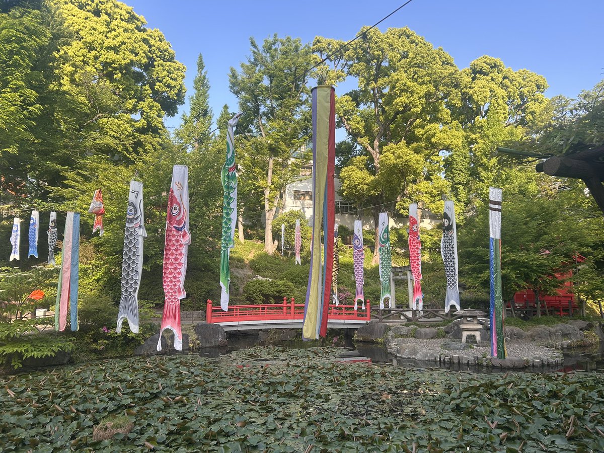 千駄木二丁目西町会(中の人たち) tweet media