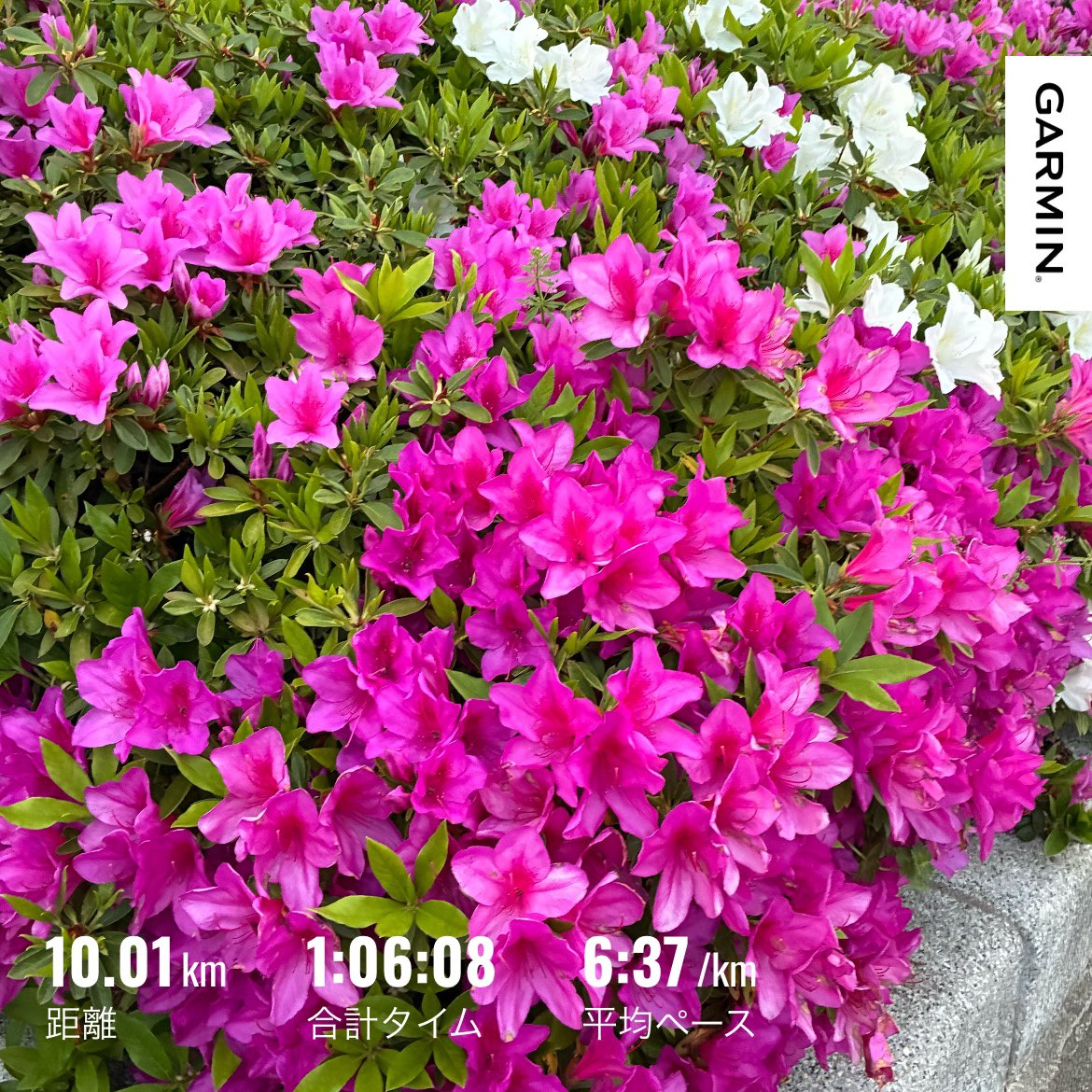 ナツコ❄︎飛騨高山100 tweet media