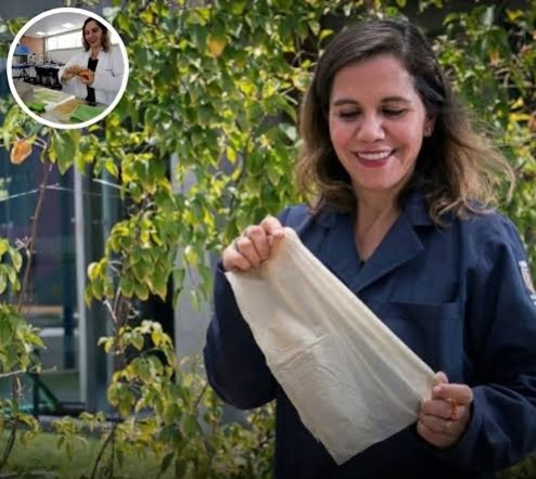 For all Curious tweet media