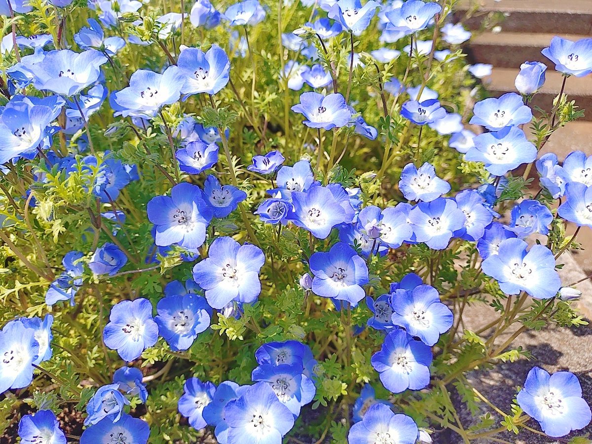 🍬たかこ🍡☆Sugar☆ tweet media