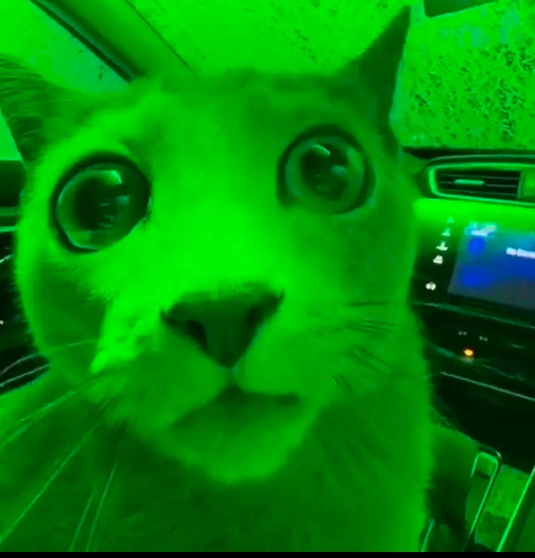 FrogManMichael's tweet photo. @risenram https://t.co/SMVWciWgYc