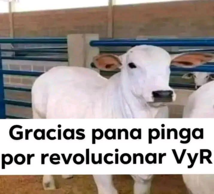 Mark Grayson tweet media