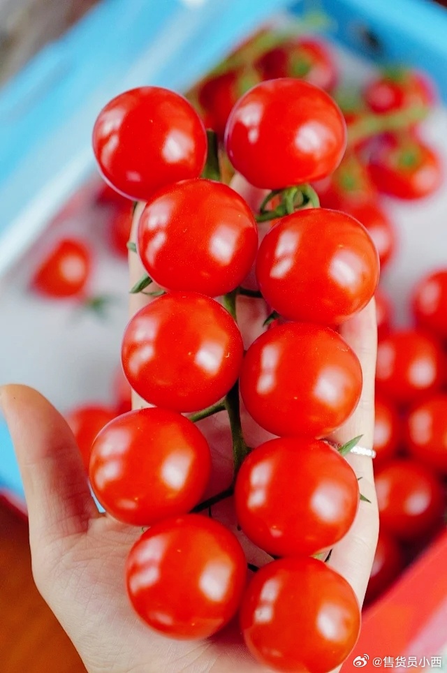 Marie-Paule Xhonneux tweet media