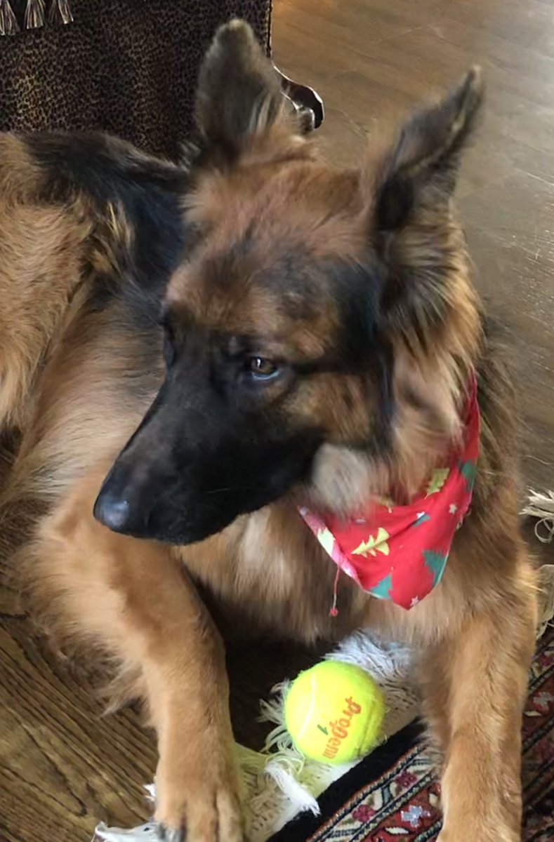 Steven E. Wilson tweet media