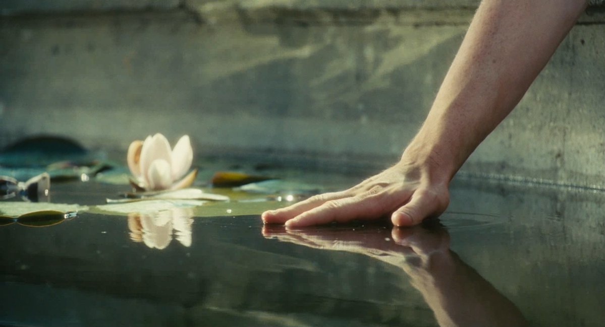 FilmFrame tweet media