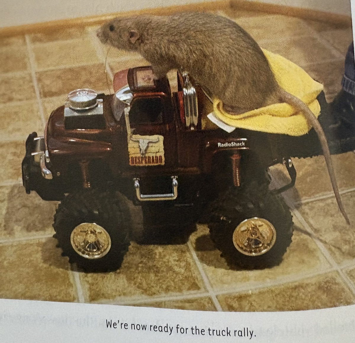 My rat training book came in the mail
