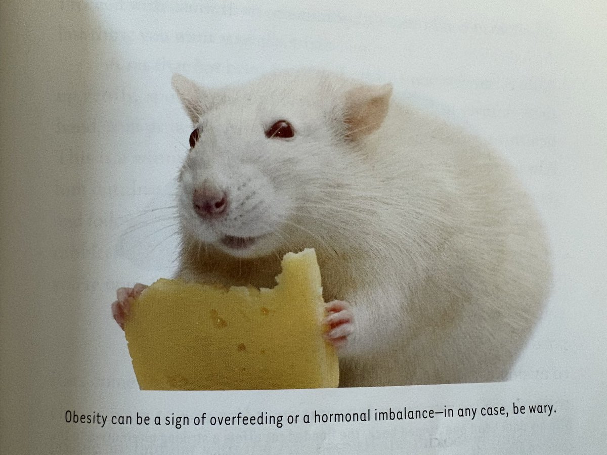 PSA: