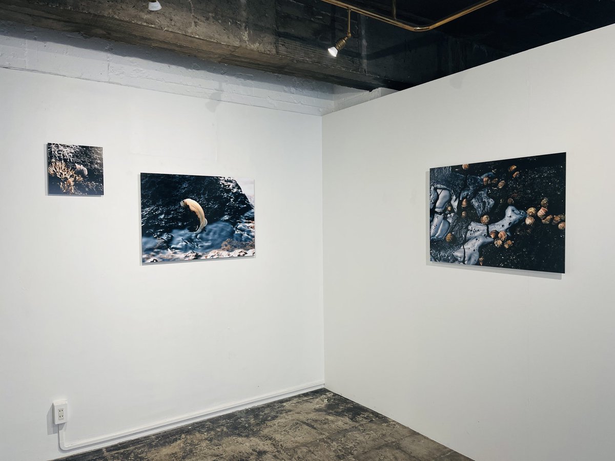 【柴田早理| COSMO PLASTICS】

open today 13:00〜18:30