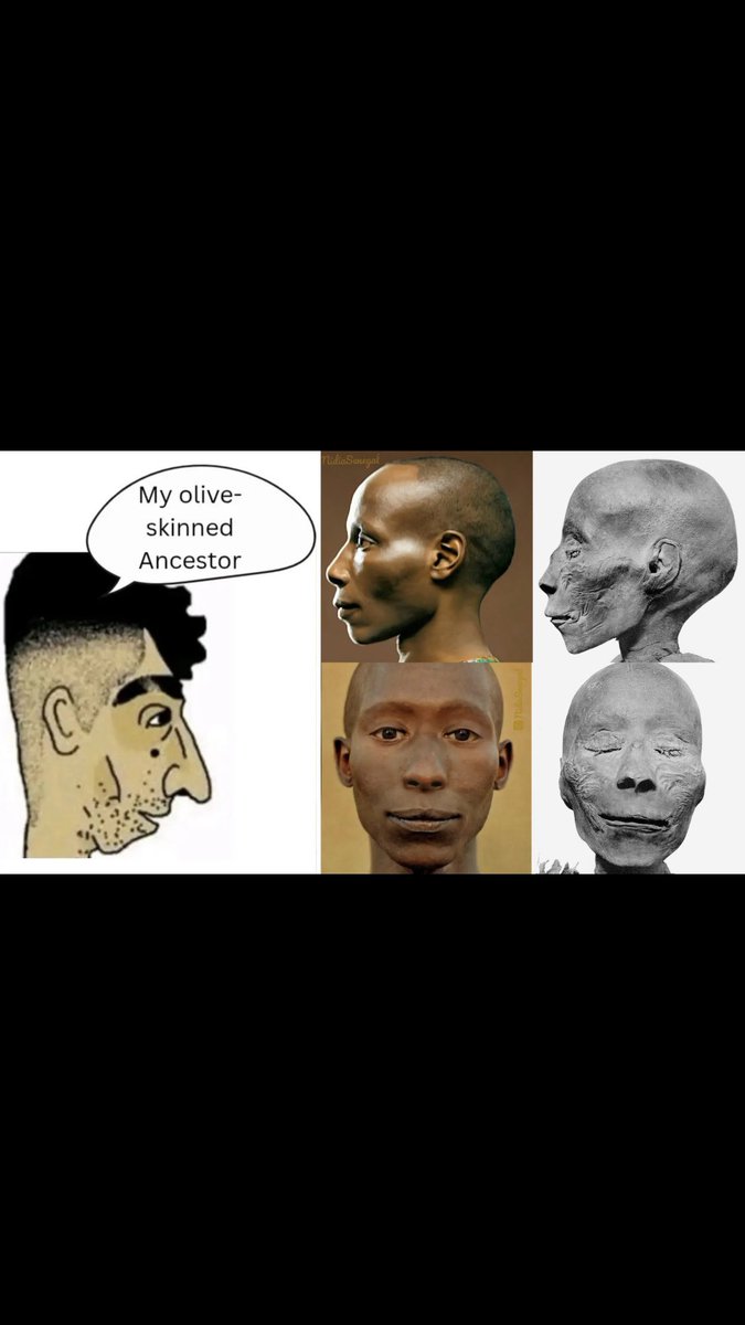 Derpas Jenkens tweet media