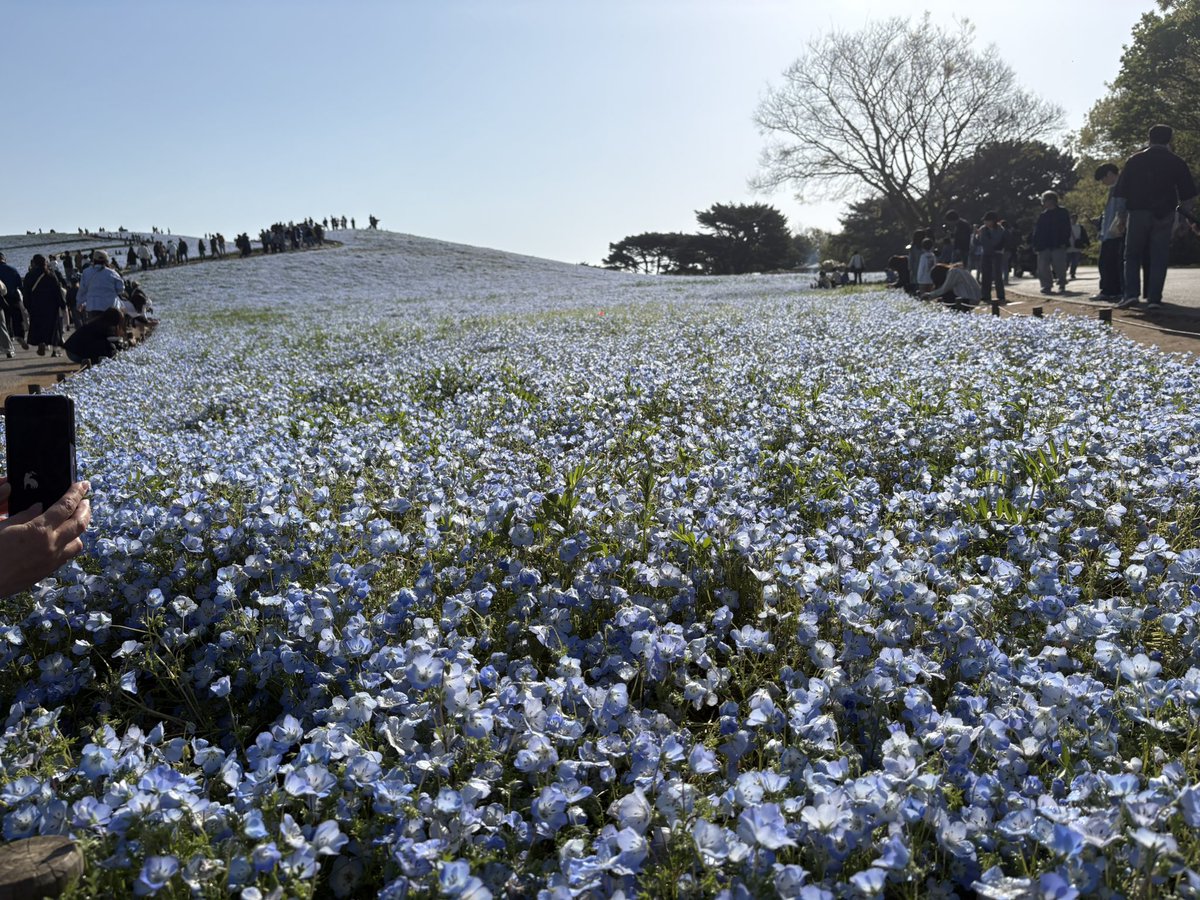 トミィィィィィ tweet media