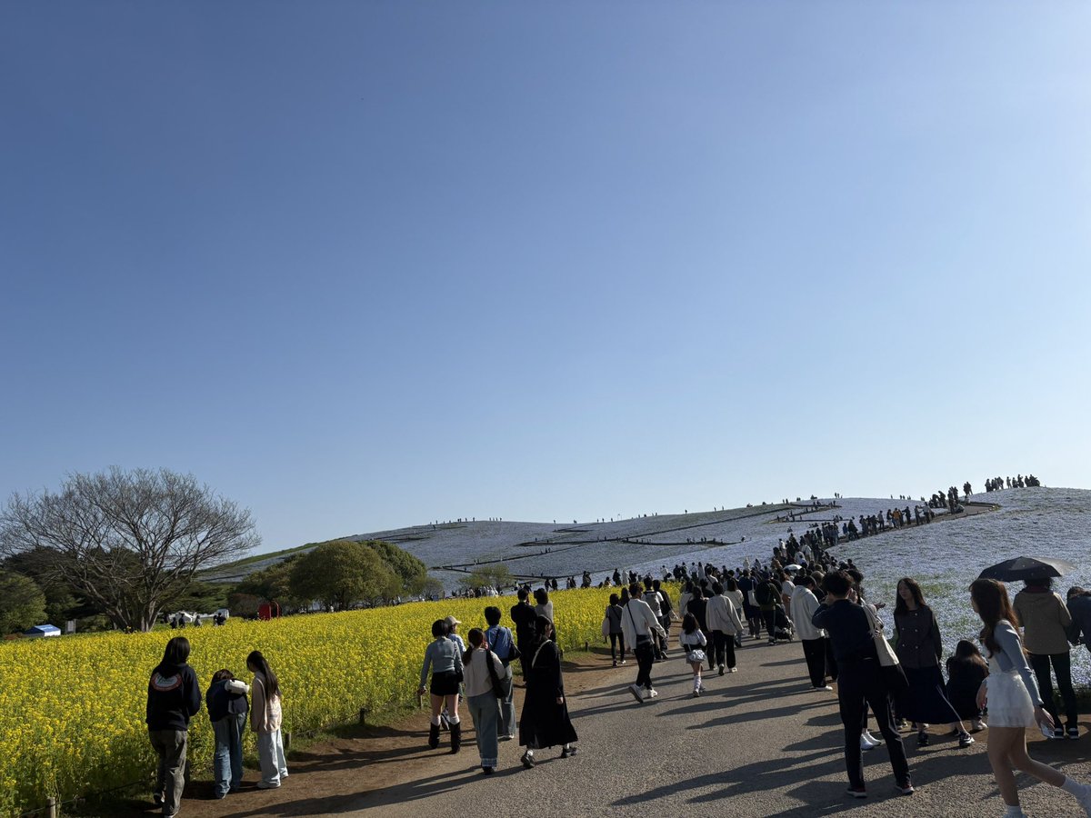 トミィィィィィ tweet media