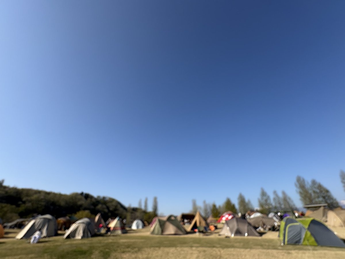 くまAI語 🇨🇦 The Polar Bear's English tweet media