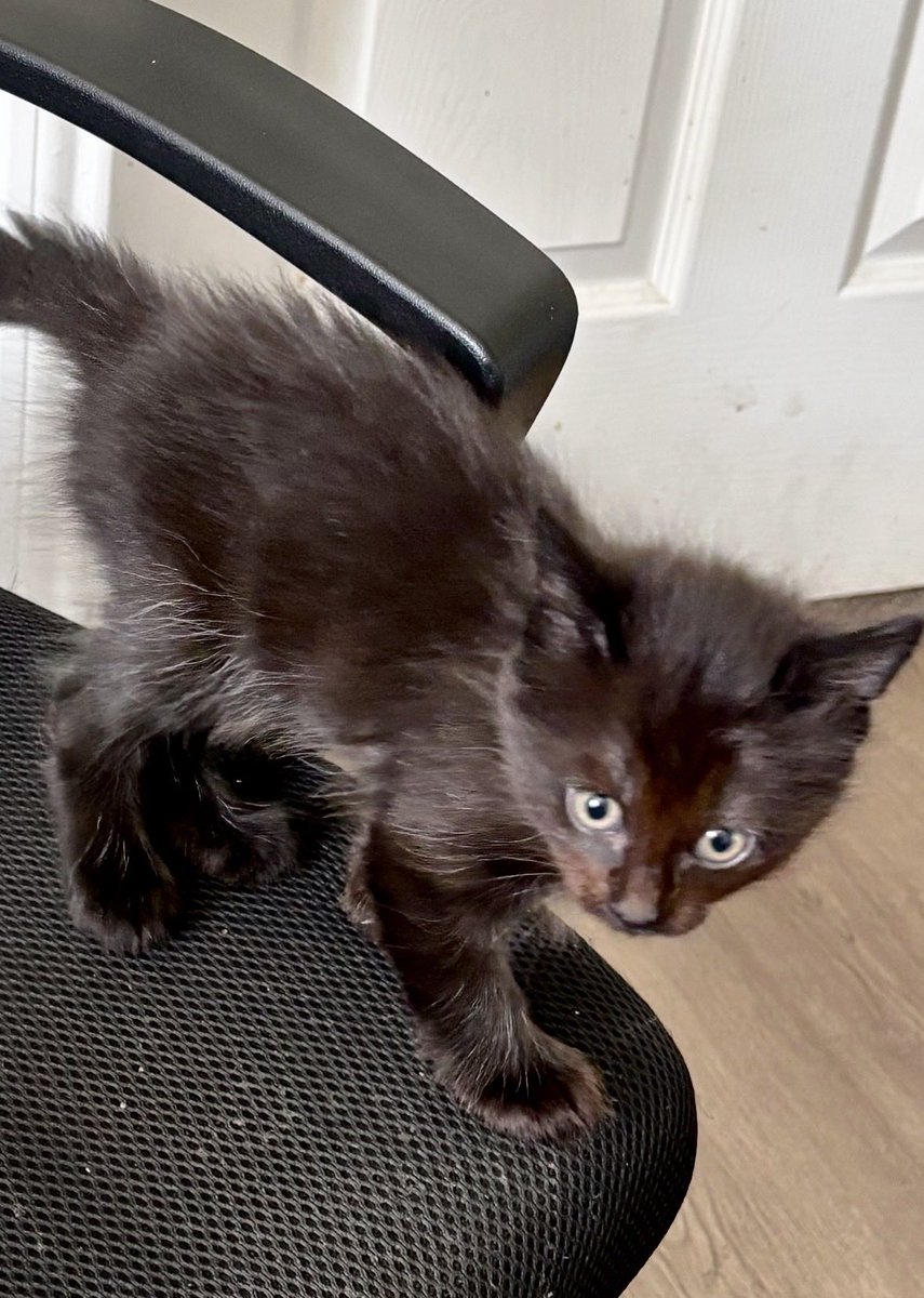 Bohemian Soul💋 tweet media