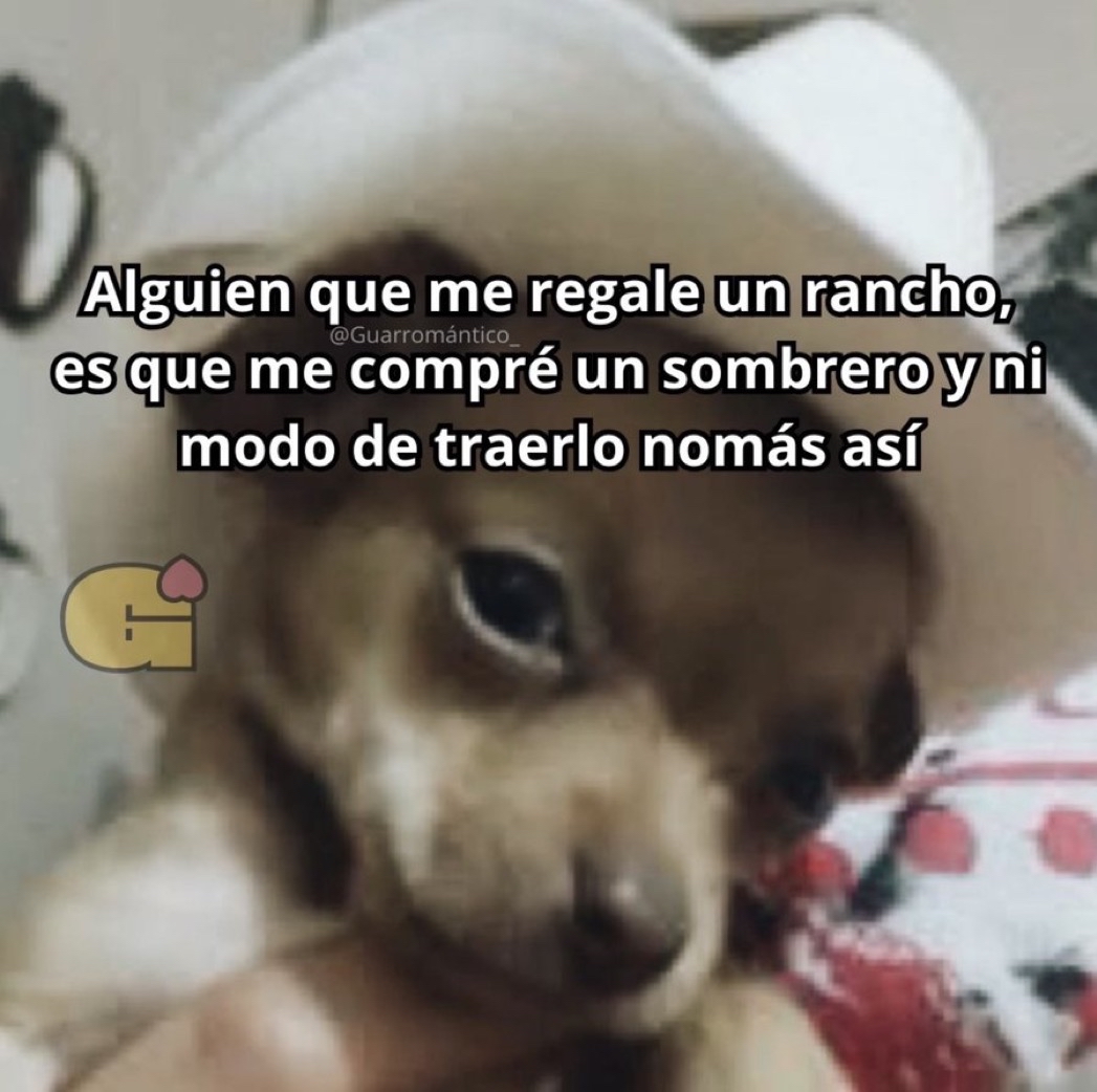 El Guarromántico tweet media