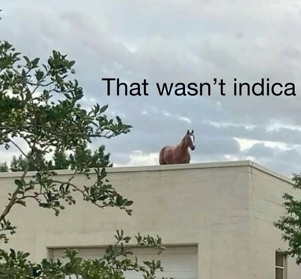 International Highlife tweet media