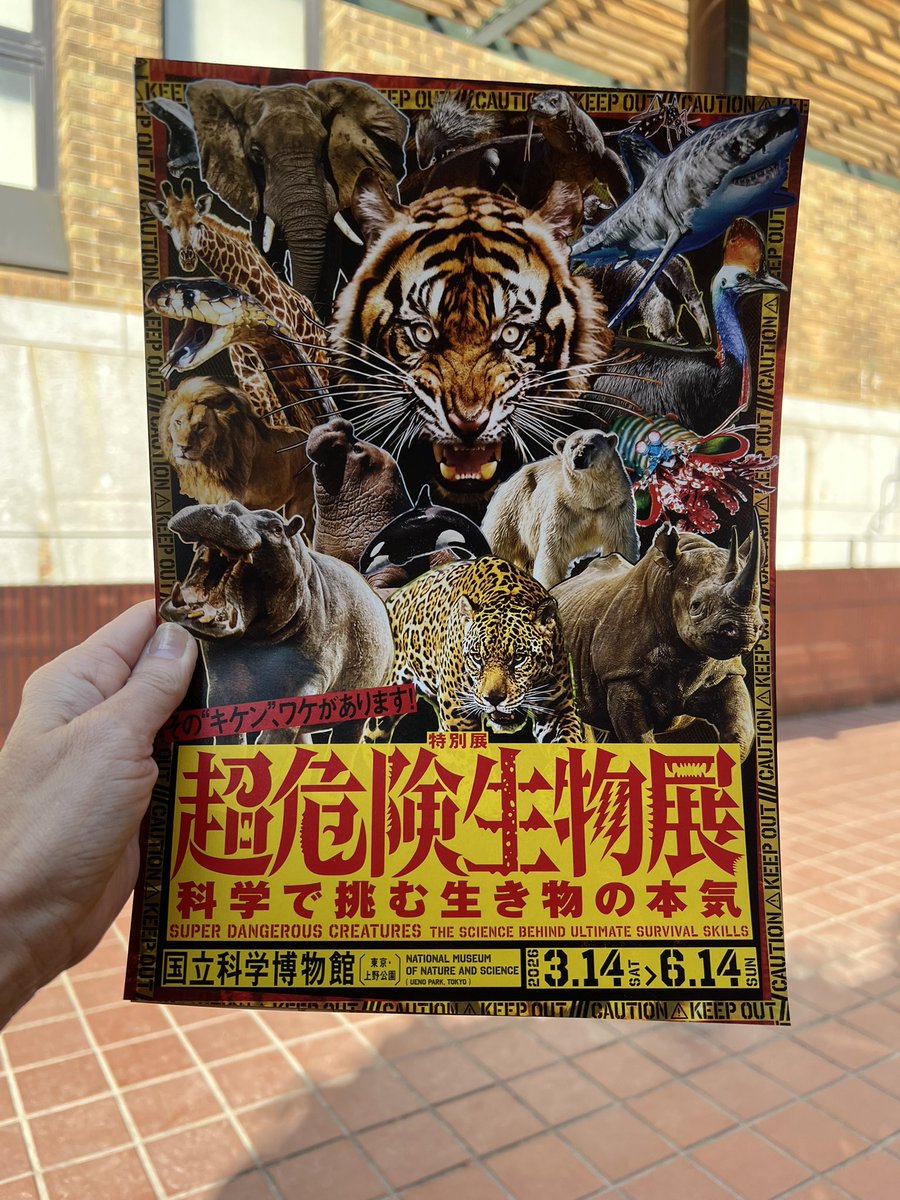 松本ともこ tweet media