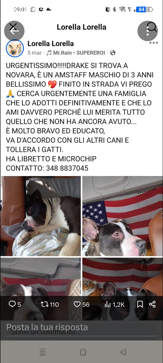 Emilystellaemi2 tweet media