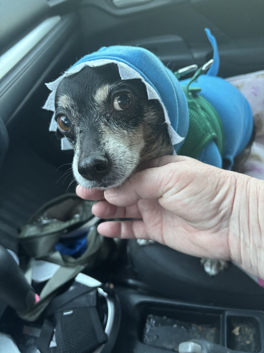 Jenny Vidaurri tweet media