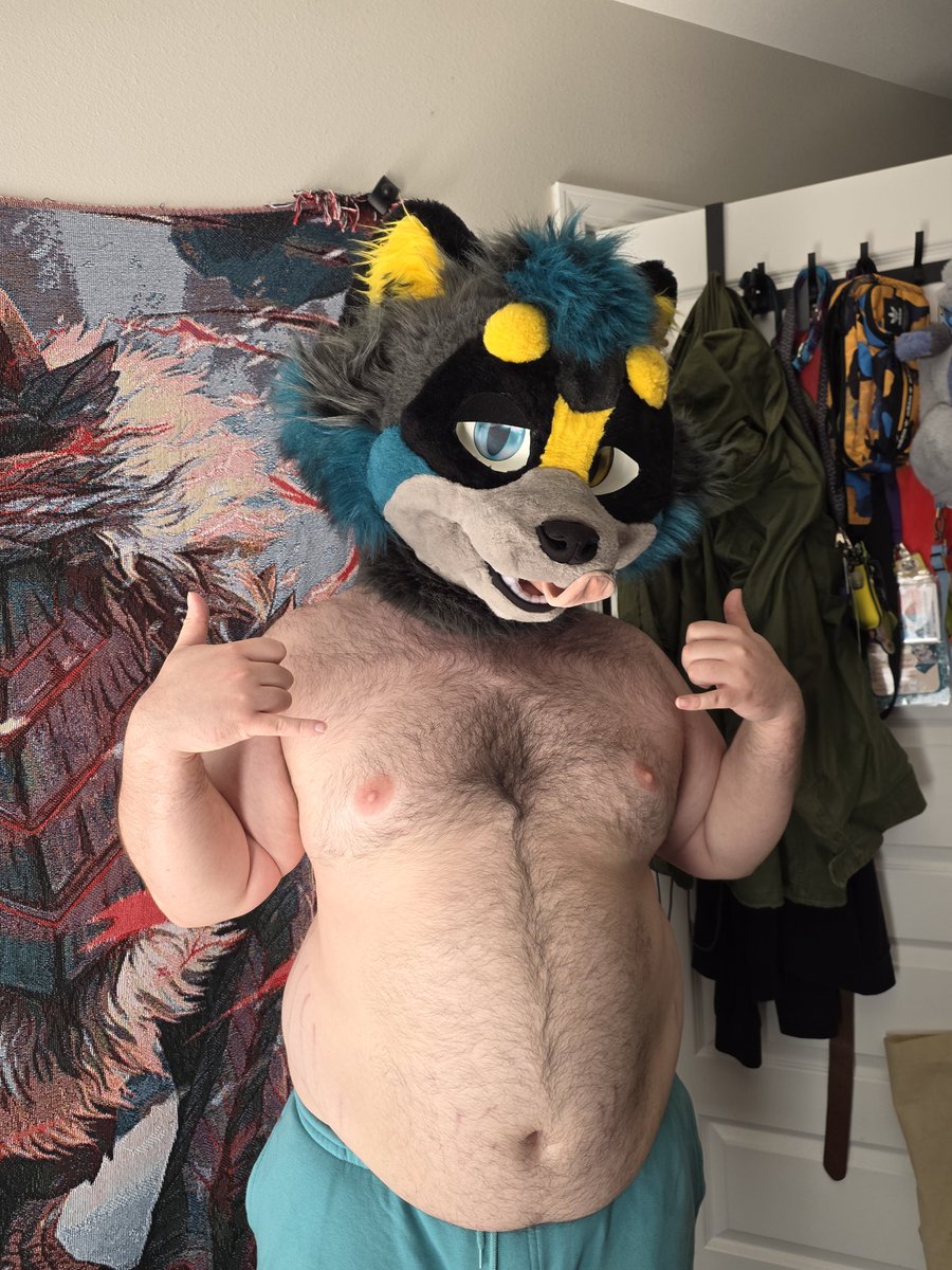 RacksTheRaccoon🔜AC tweet media