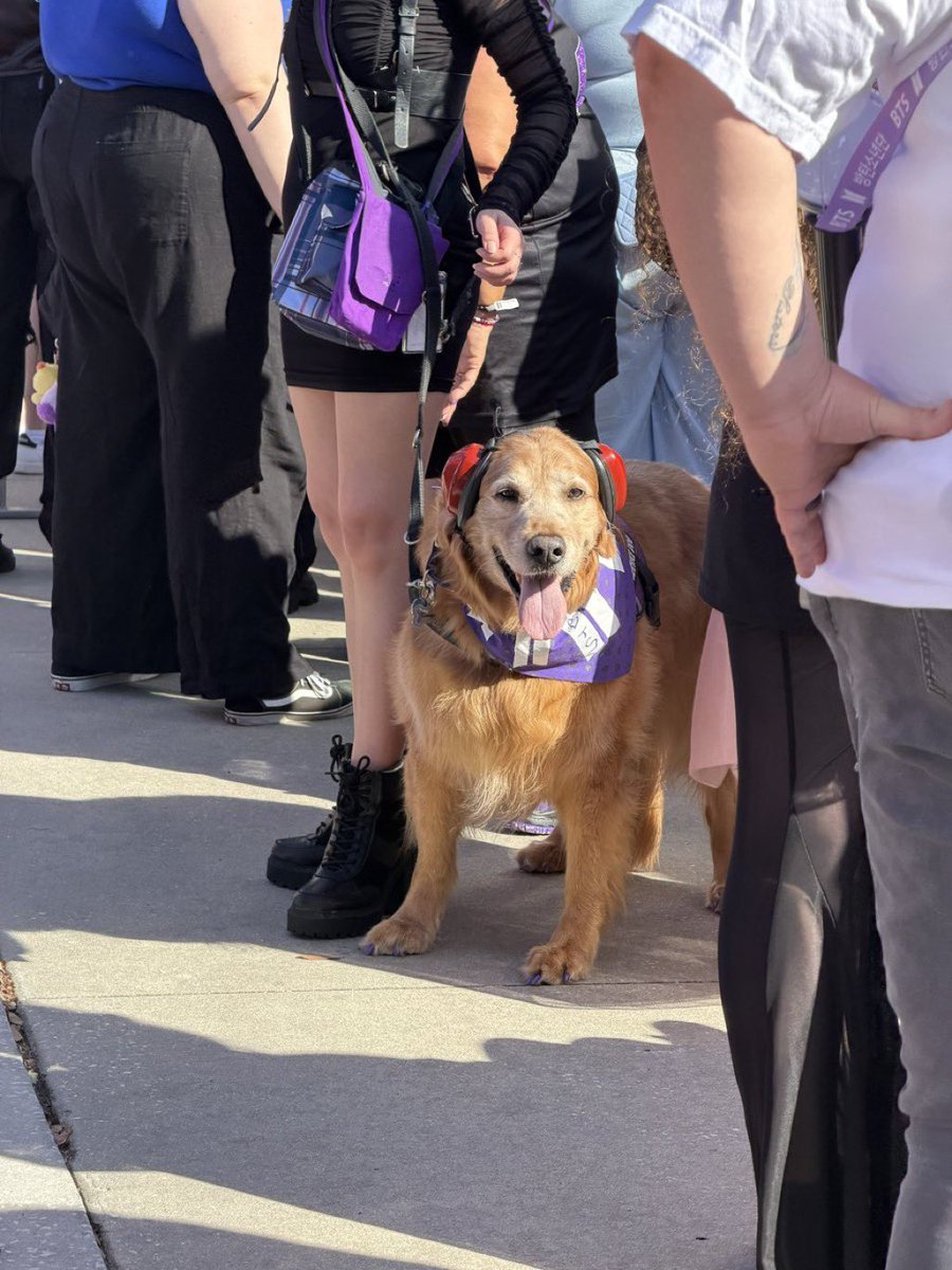 RM BRASIL tweet media