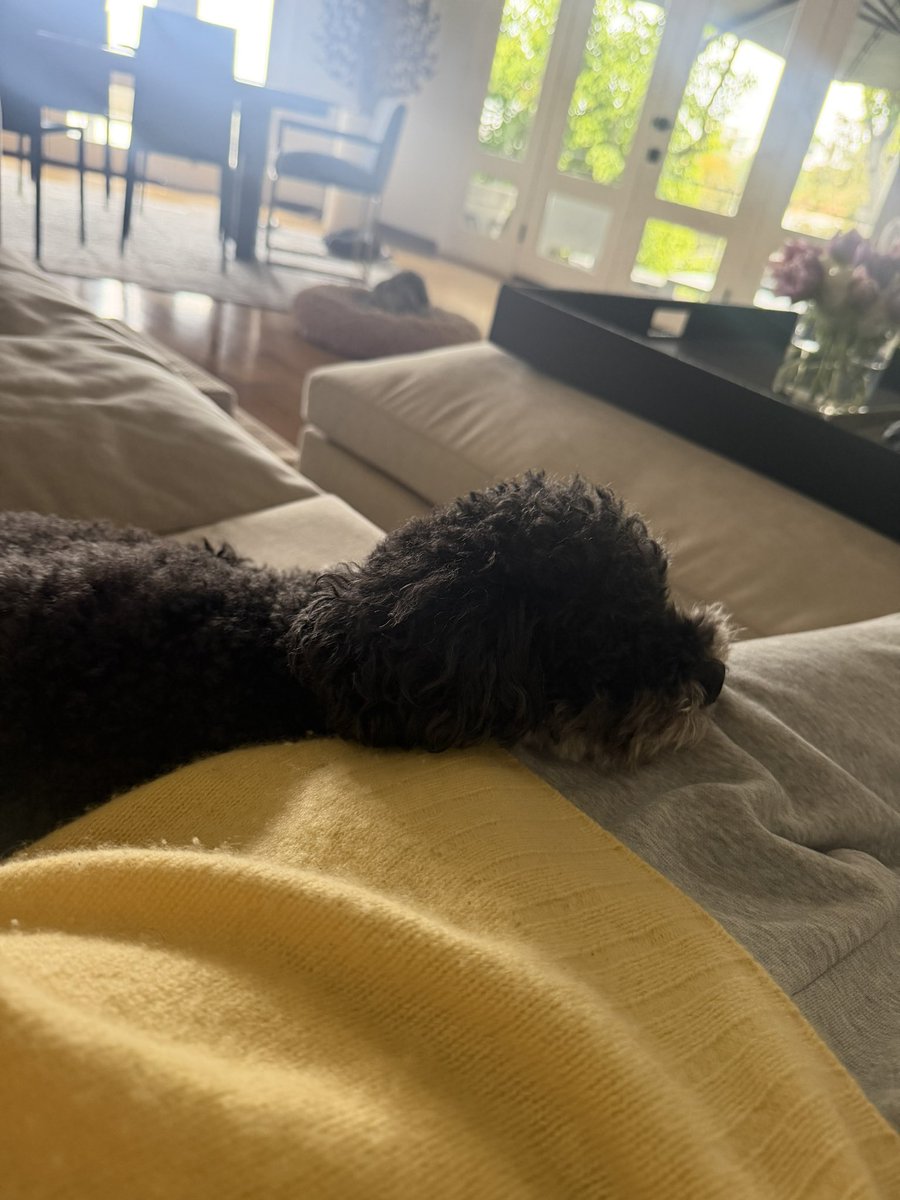 Allegra Jacchia tweet media