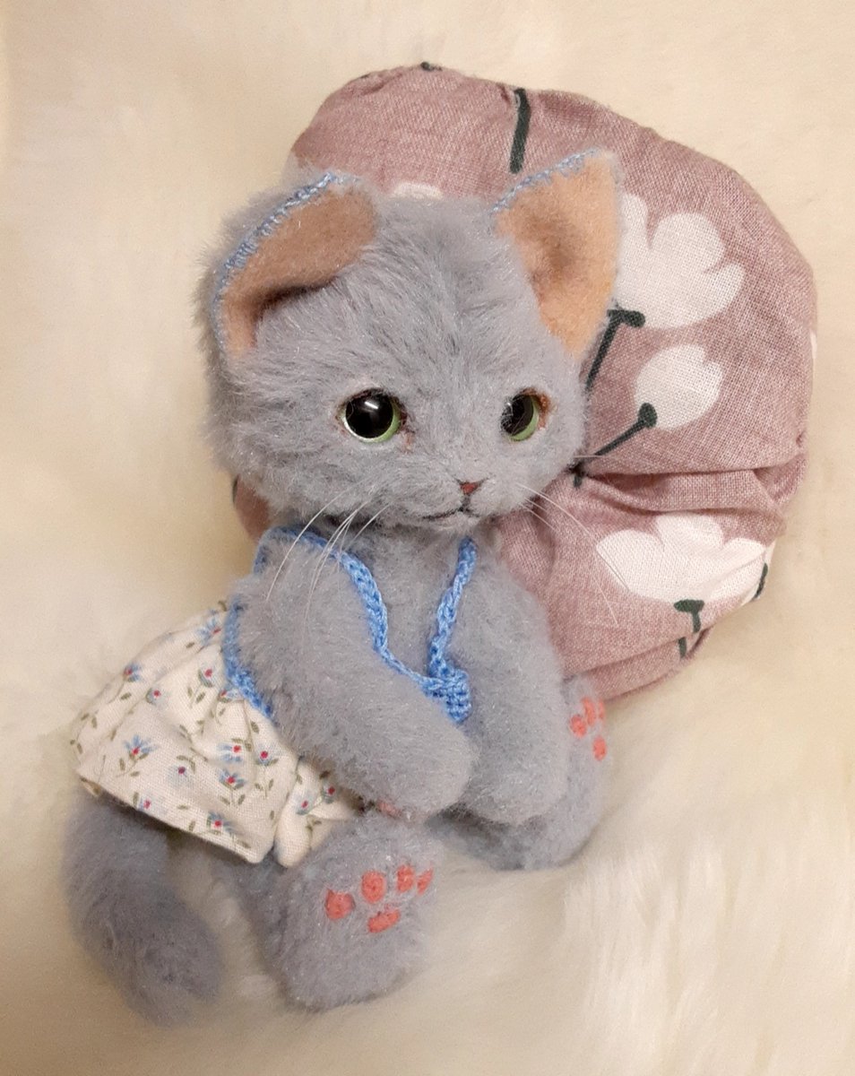 たぶん、ねこ tweet media