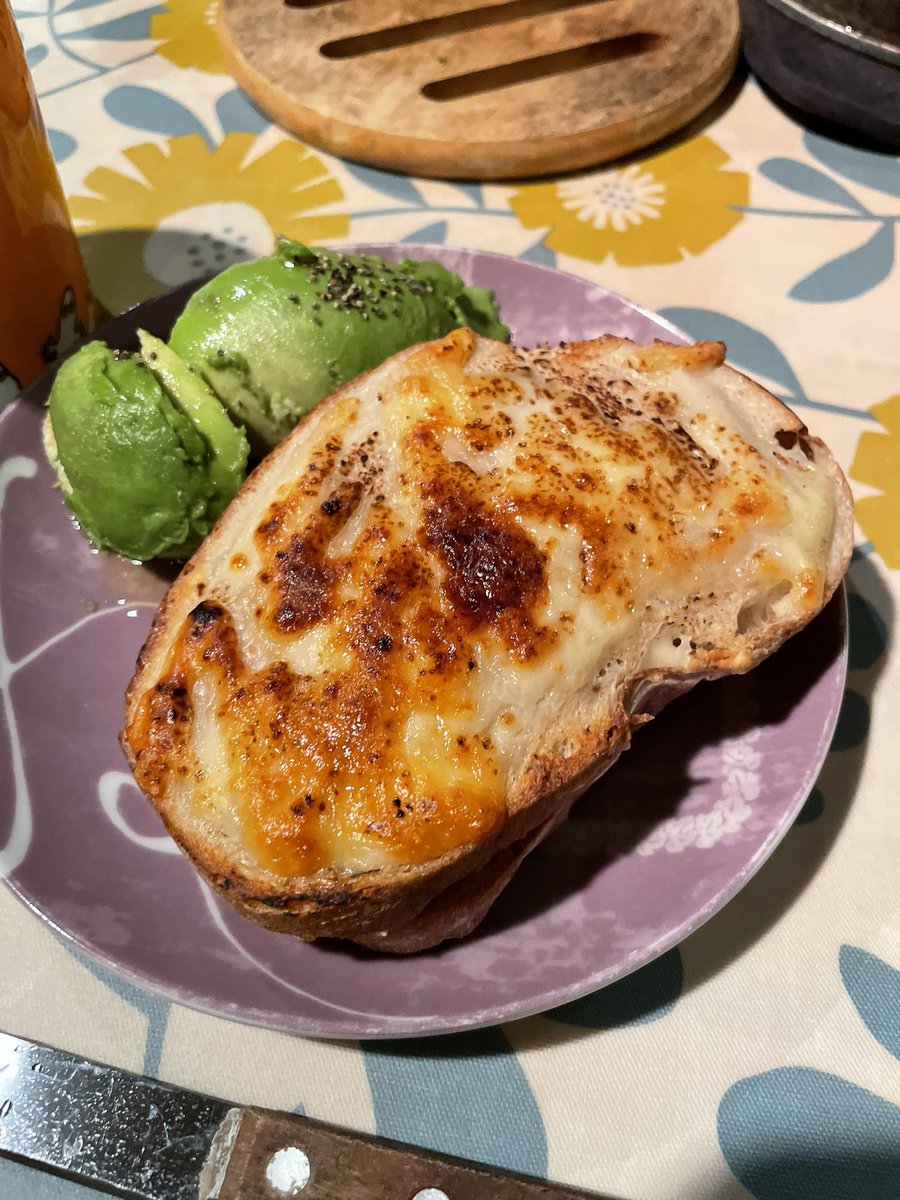 🐶こむぎ🐶 tweet media