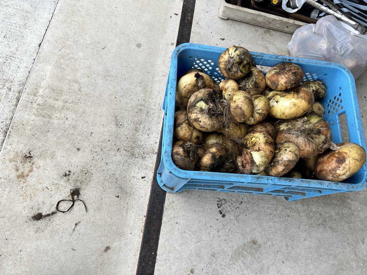 にゃんパパ tweet media