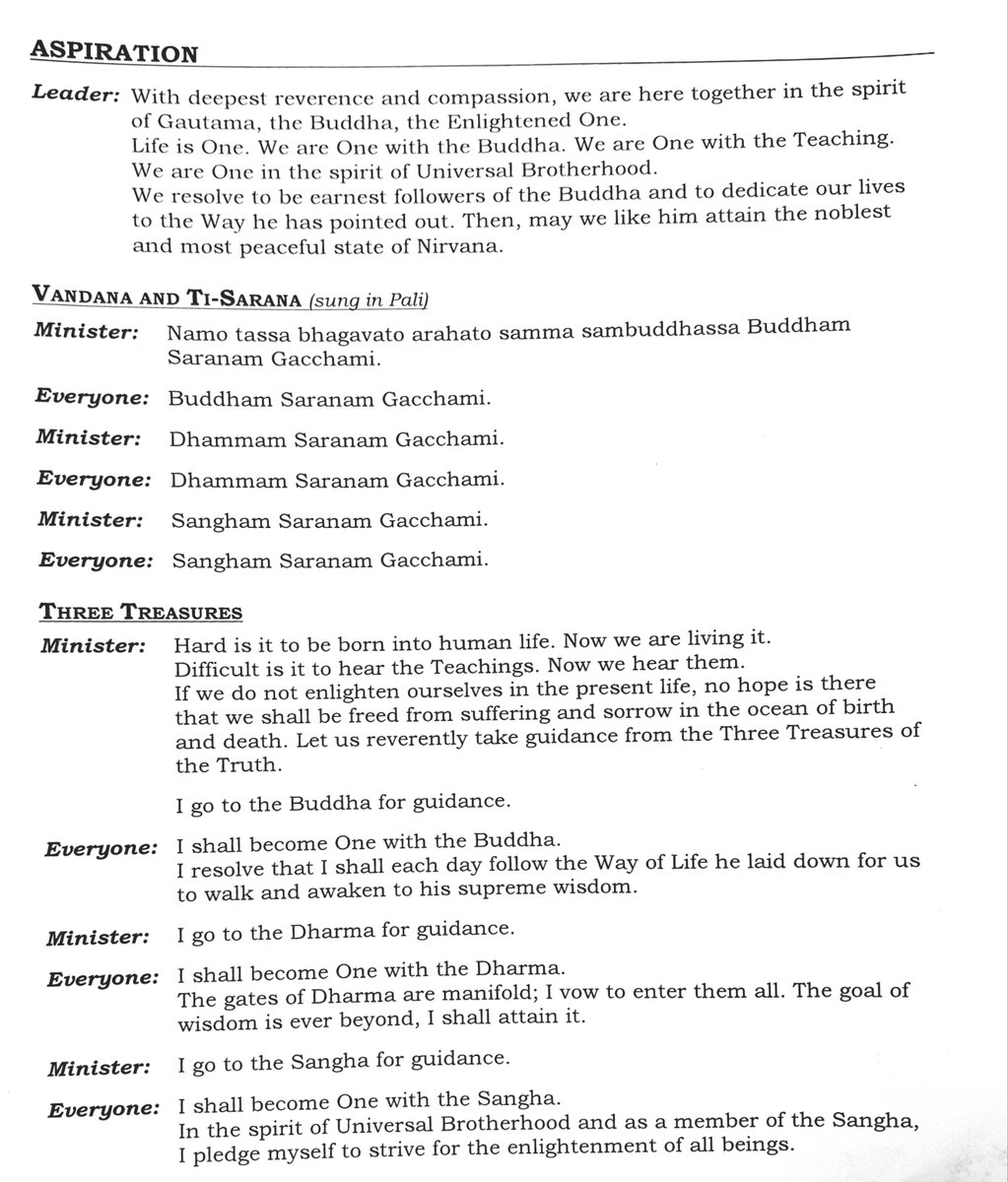 Miriam—I'm bicycle delivery guy—Solon tweet media