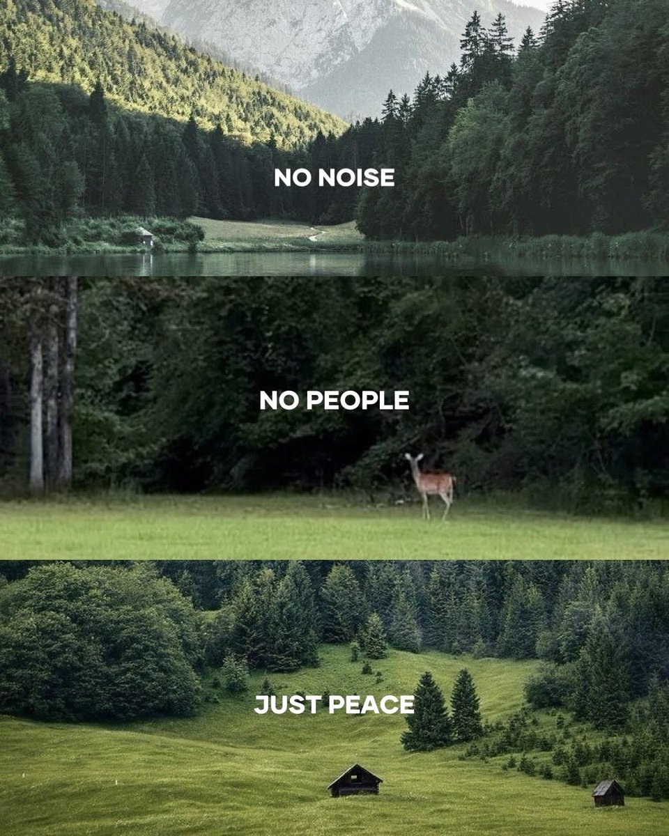 iFlyHigh™ 🎄 tweet media