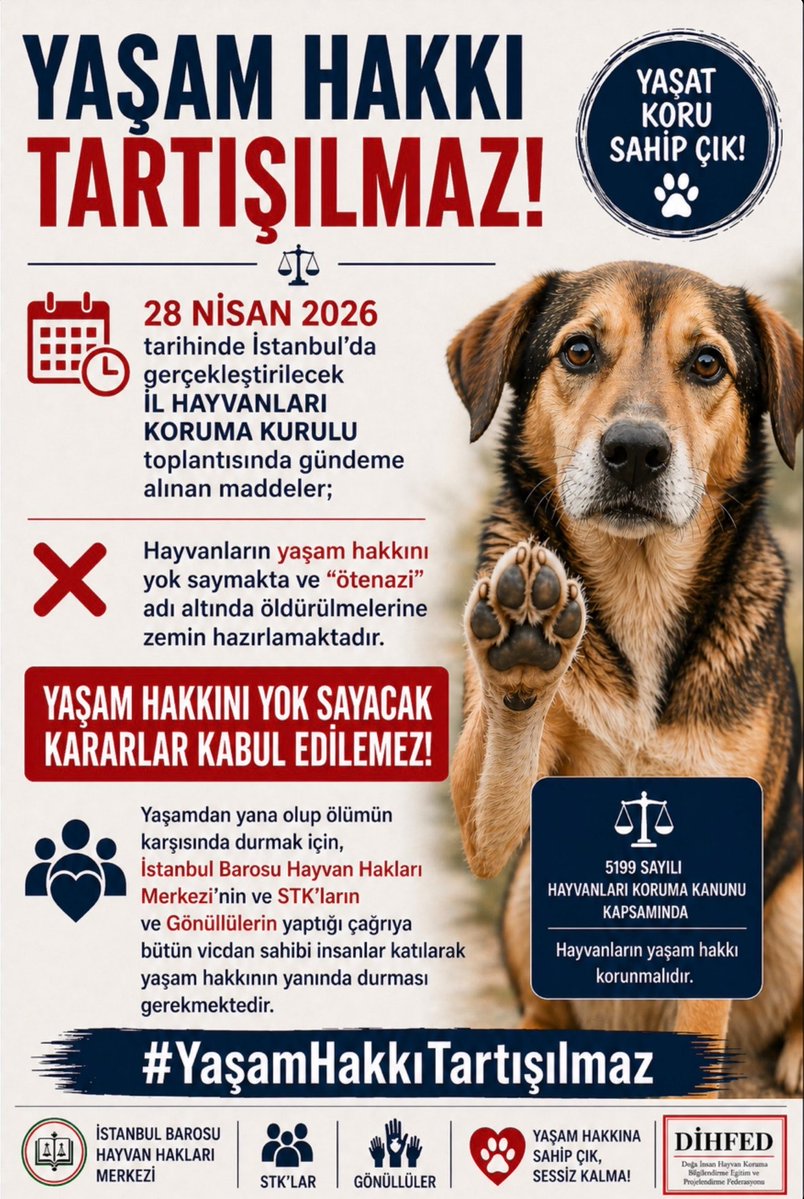 YAŞAM HAKKI TARTIŞILMAZ!

28 Nisan 2026 tarihinde İstanbul’da gerçekleştirilecek İl Hayvanları Koruma Kurulu toplantısında gündeme alınan maddeler, hayvanların yaşam hakkını yok saymakta ve “ötenazi” adı altında öldürülmelerine zemin hazırlamaktadır.
Yaşam hakkını yok sayacak