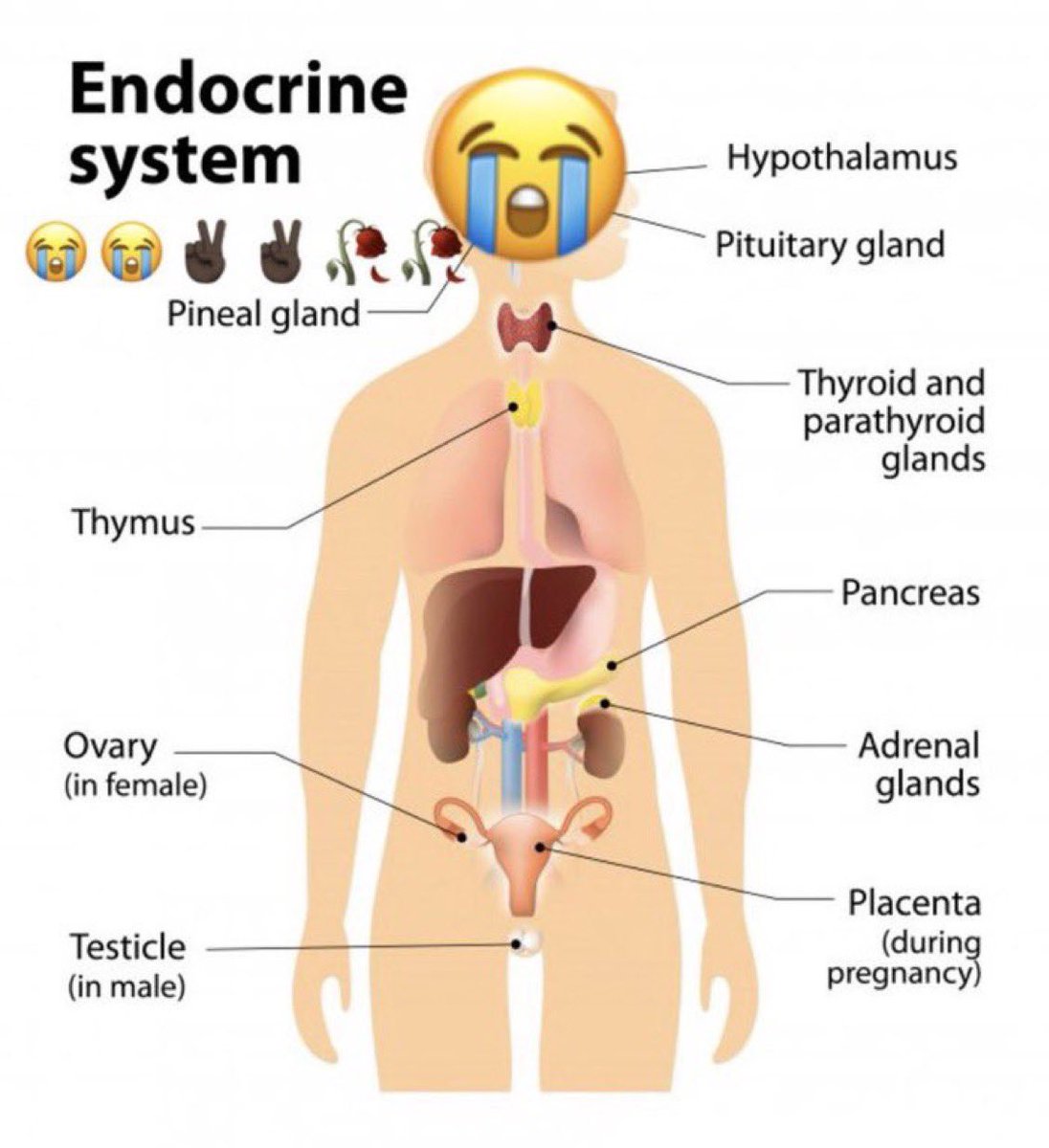CENCH (FullTime Jugger) tweet media