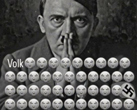 Trixinite tweet media